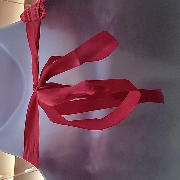 Women's Plus size  hot pink sheer baby doll 3X NWOT - Picture 9 of 15